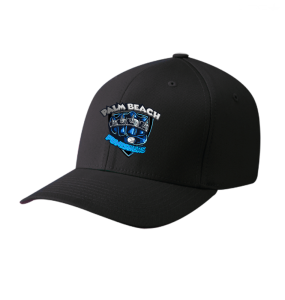 Palm Beach Punishers Hat